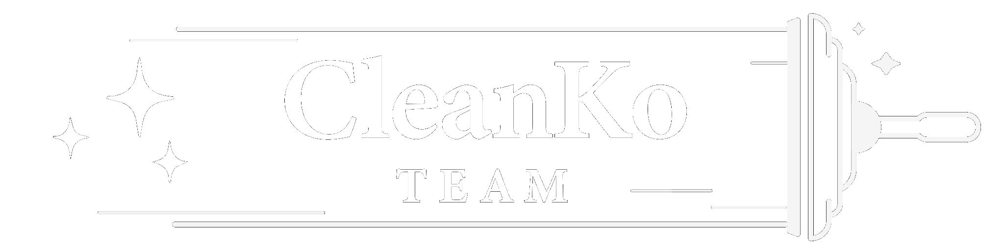 CleanKo Team